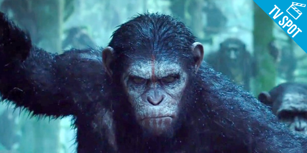 ‘Planeta dos Macacos: O Confronto’ – 30 segundos de cenas inéditas em novo TV Spot