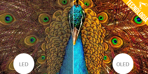 LG – Porque transceder é o futuro das Smart TVs