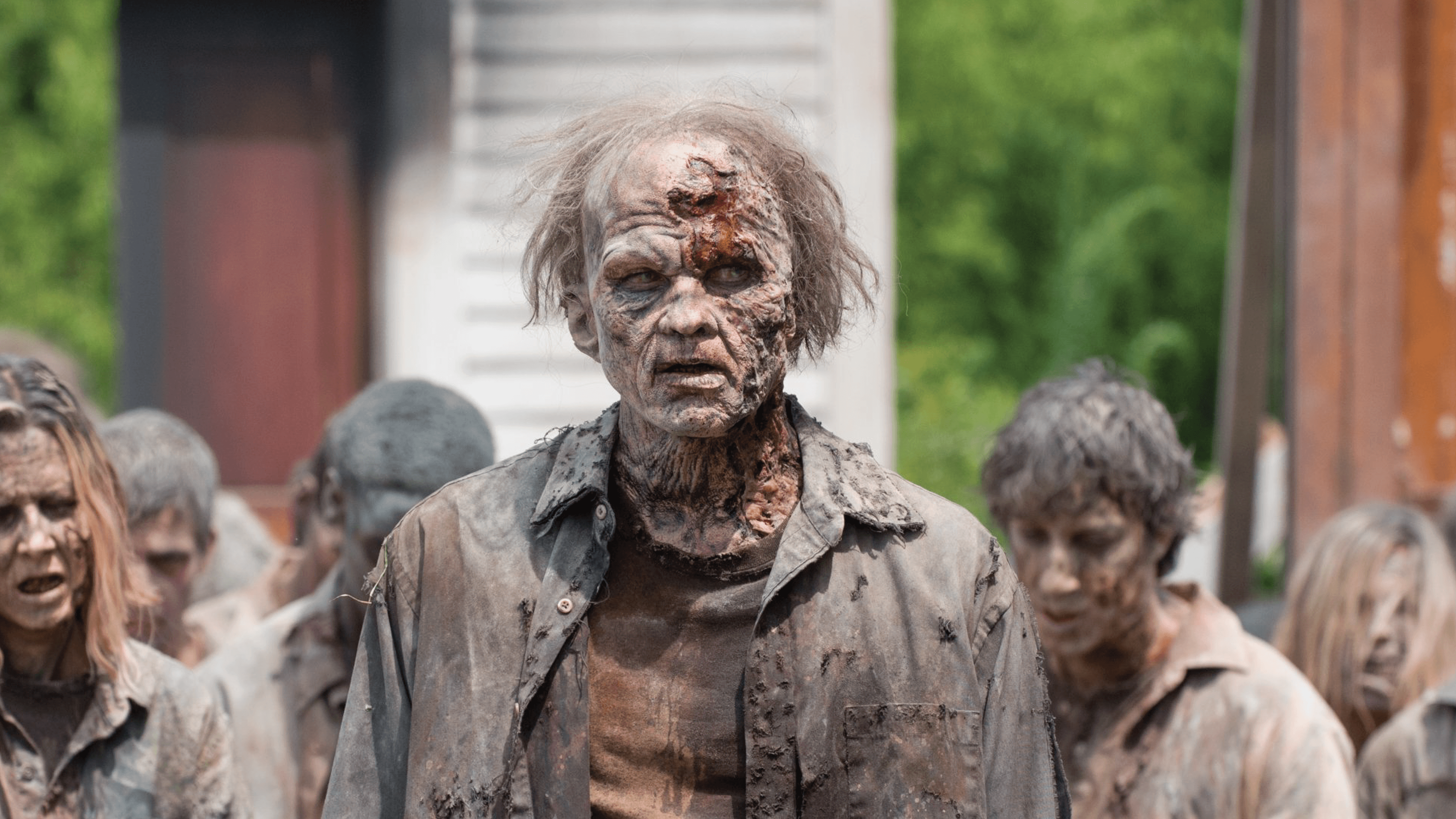 The Walking Dead – Nova série se situará APÓS os eventos apocalípticos