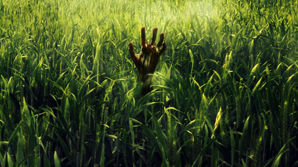 В высокой траве (in the tall grass) 2019. Патрик уилсон в высокой траве. В высокой траве / in the tall grass. Высокая трава. Патрик уилсон в высокой траве.