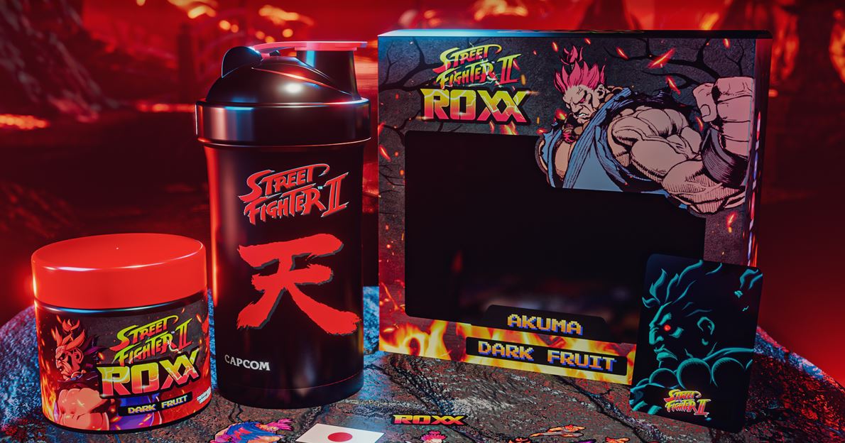 Confira o último personagem da coleção exclusiva de Street Fighter II da Roxx Energy